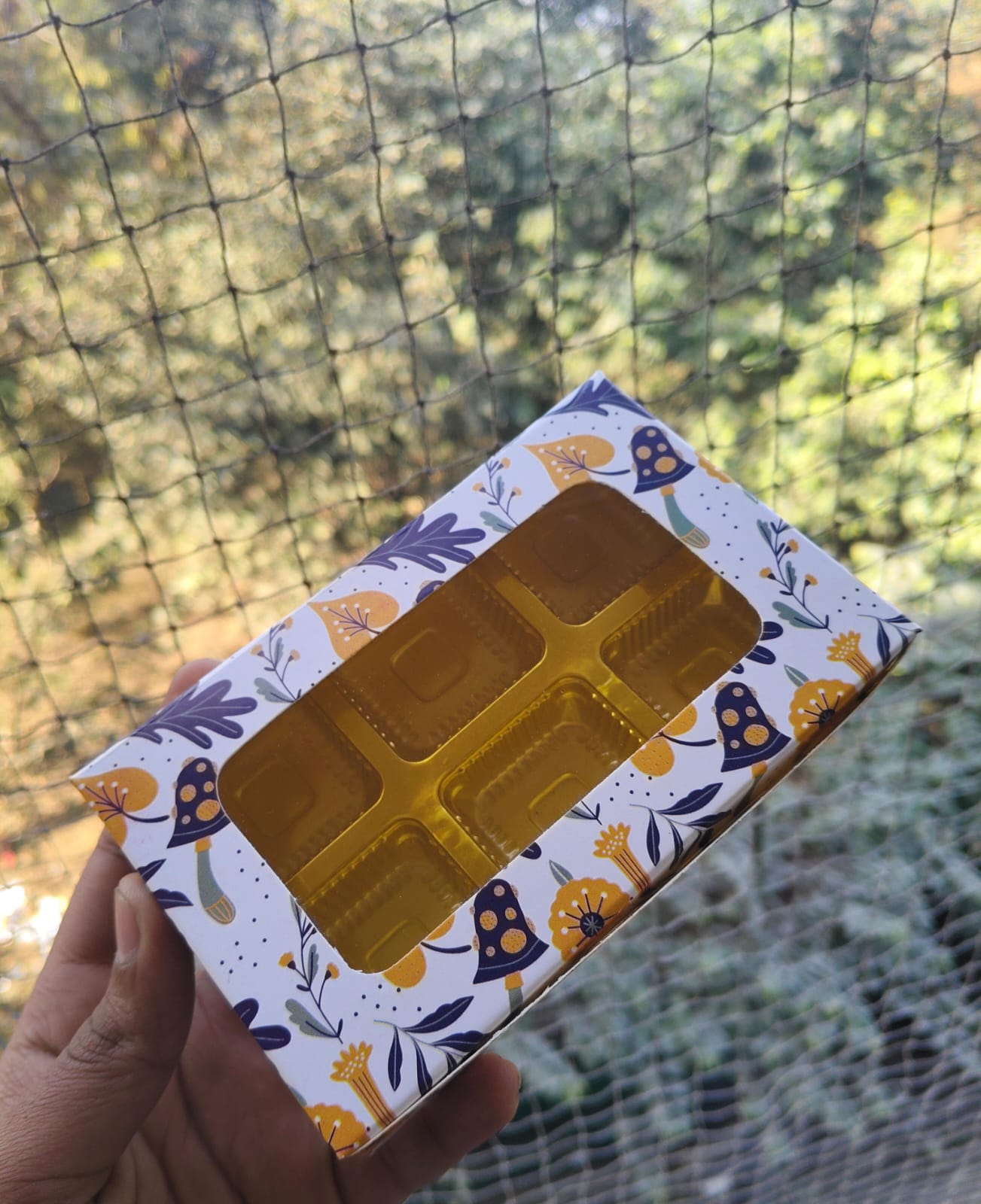 6 Cavity Chocolate Box